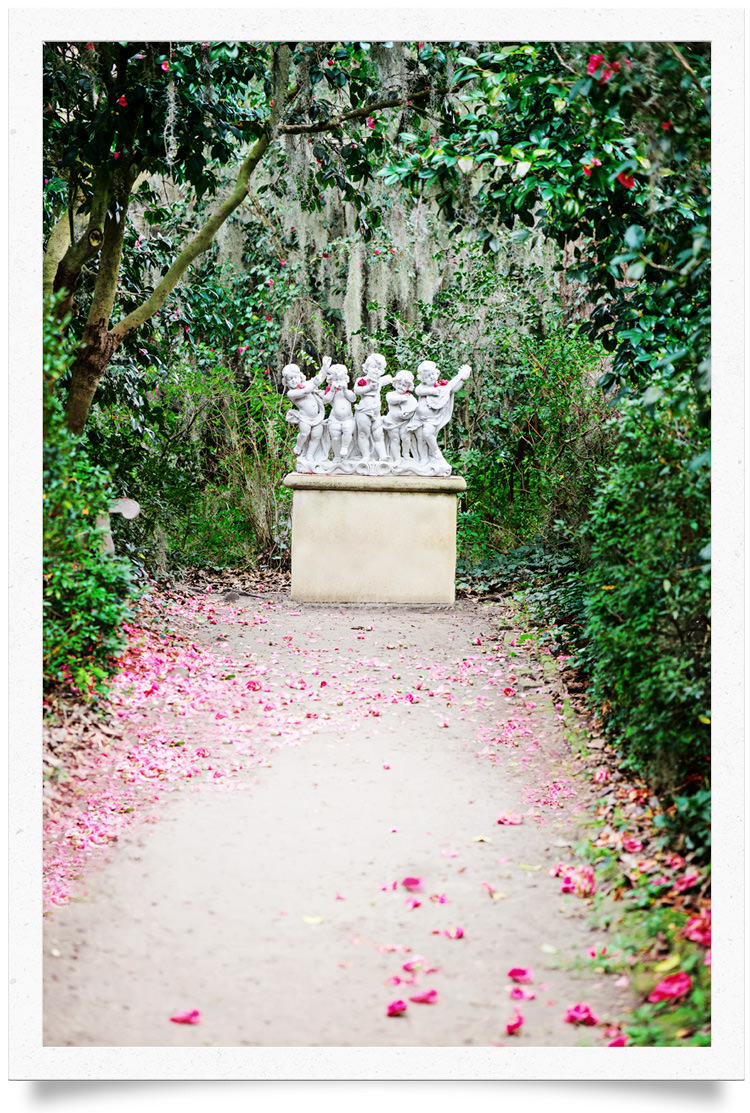 Charleston SC is one of the most picturesque winter travel destinations thanks to acres of heirloom camellia bushes that bloom in January, February, and March.