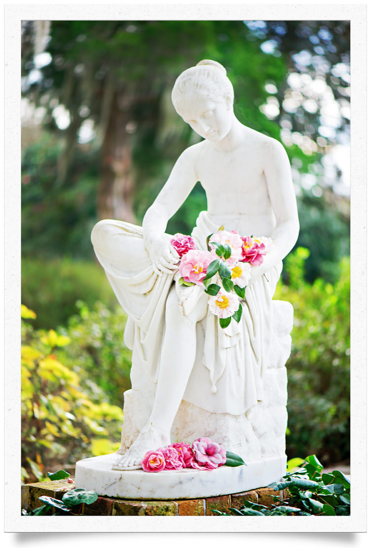 Charleston SC is one of the most picturesque winter travel destinations thanks to acres of heirloom camellia bushes that bloom in January, February, and March.